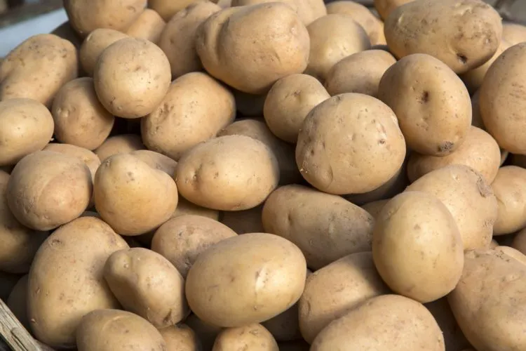 Potatoes on Market Stall, Santiago de Compostela, Galicia, Spain