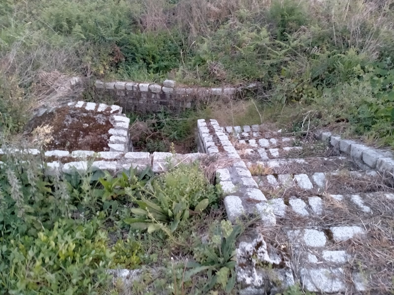 Fuente en Mandiá