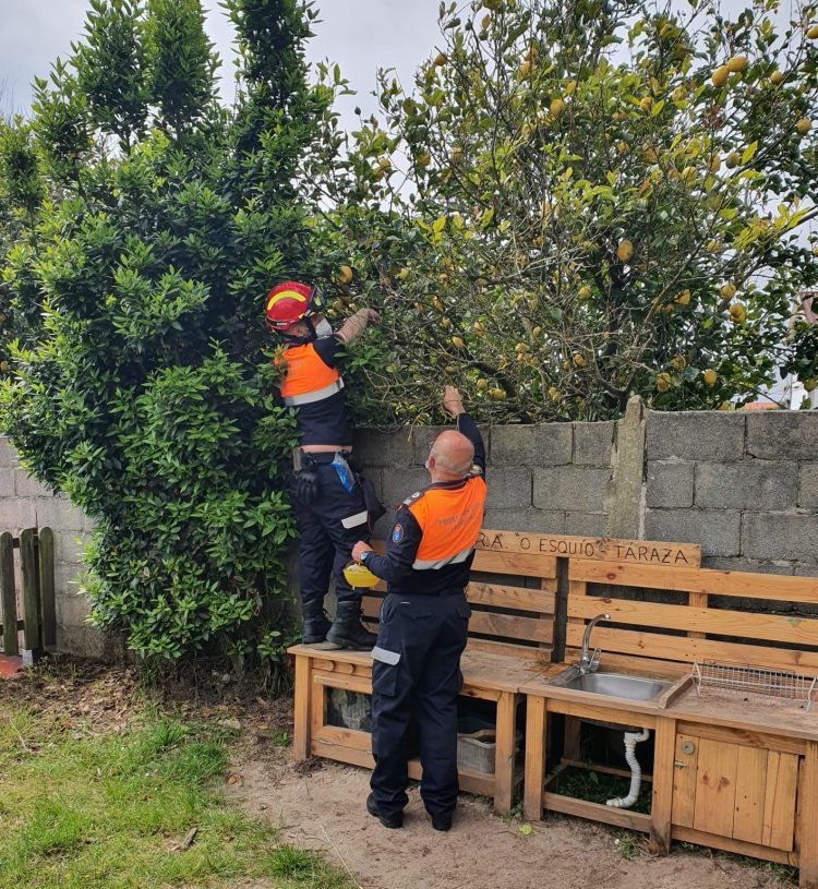 Los voluntarios de Protección Civil de Valdoviño se encargaron de instalar las trampas