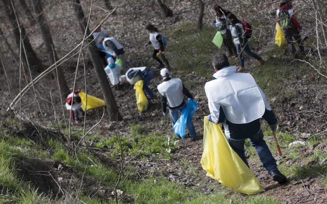 Voluntarios participan en una recogida de basura | LIBERA