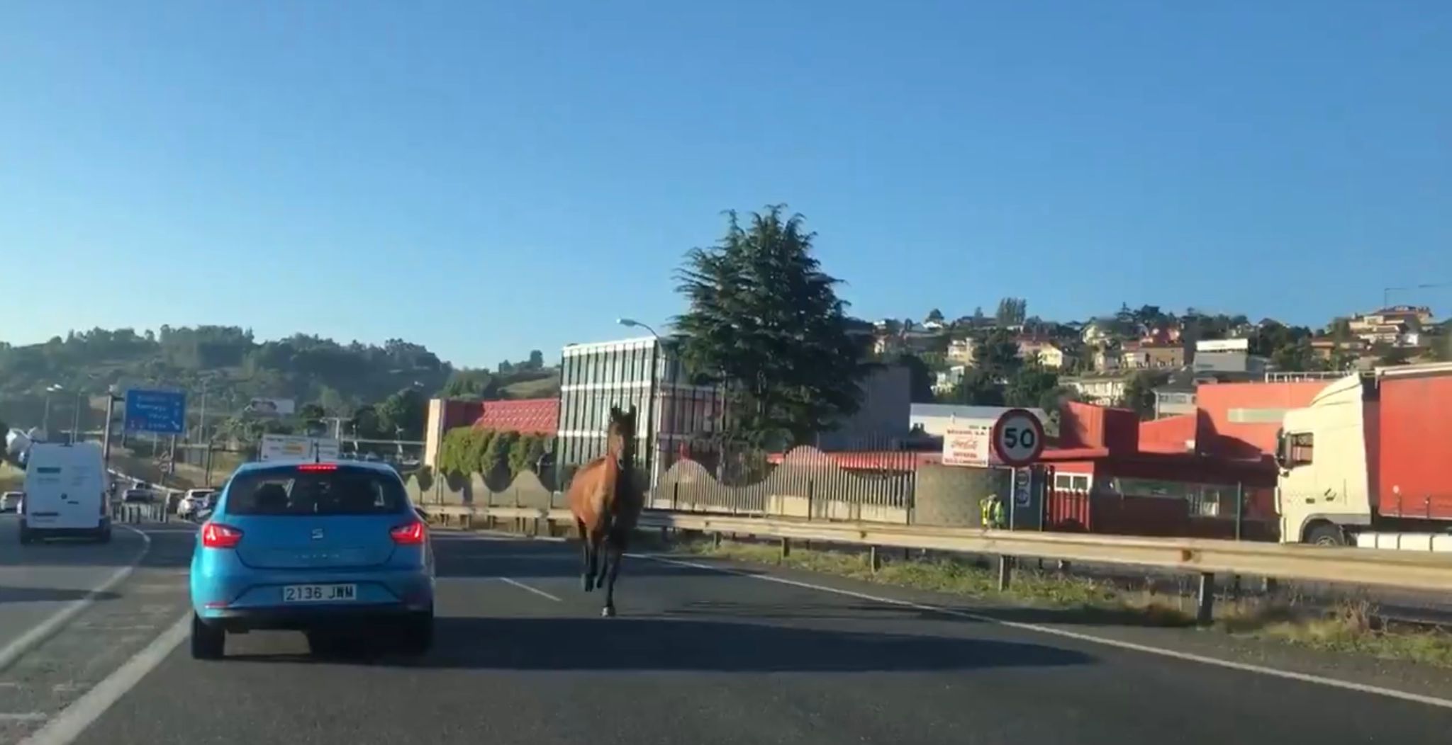 El caballo saliendo de la autopista. | @sindonovoa