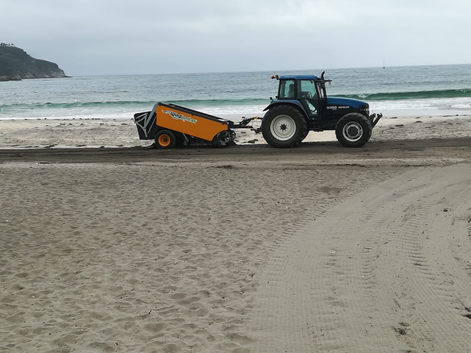 Limpieza en los arenales de Ortigueira