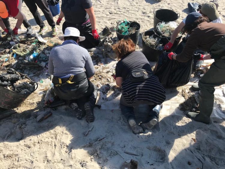 Mariscadoras de Cedeira limpian las playas | AYUNTAMIENTO DE CEDEIRA