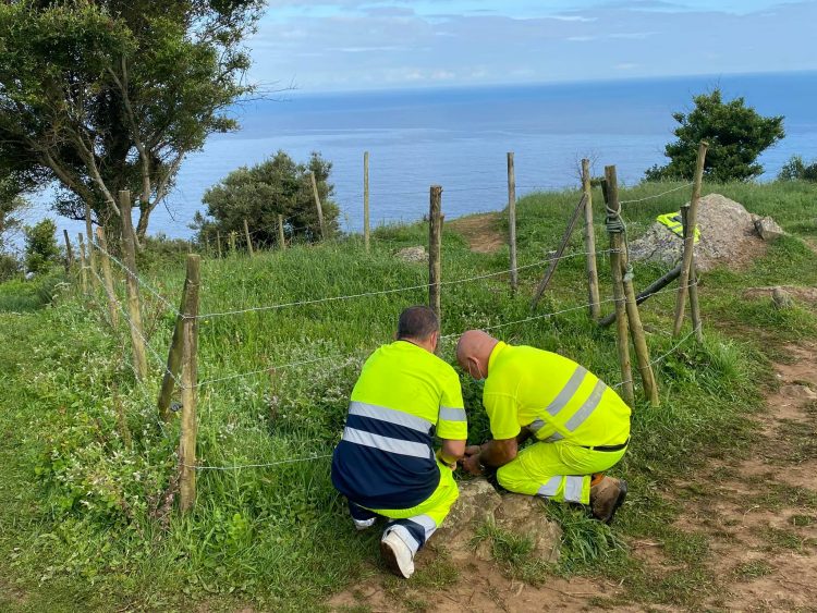 Técnicos de Cedeira retiran las mascarillas de San Andrés de Teixido | ALCALDE DE CEDEIRA