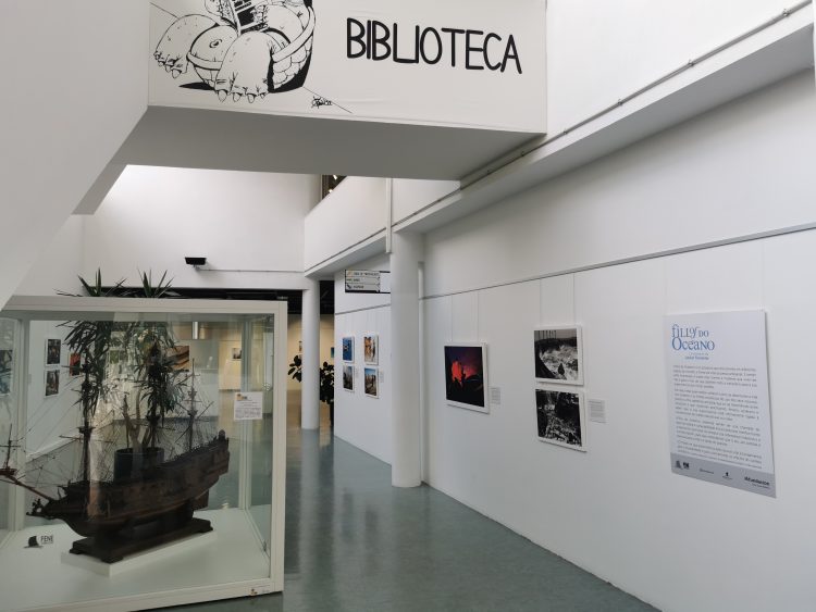 La exposición puede visitarse en la Casa da Cultura