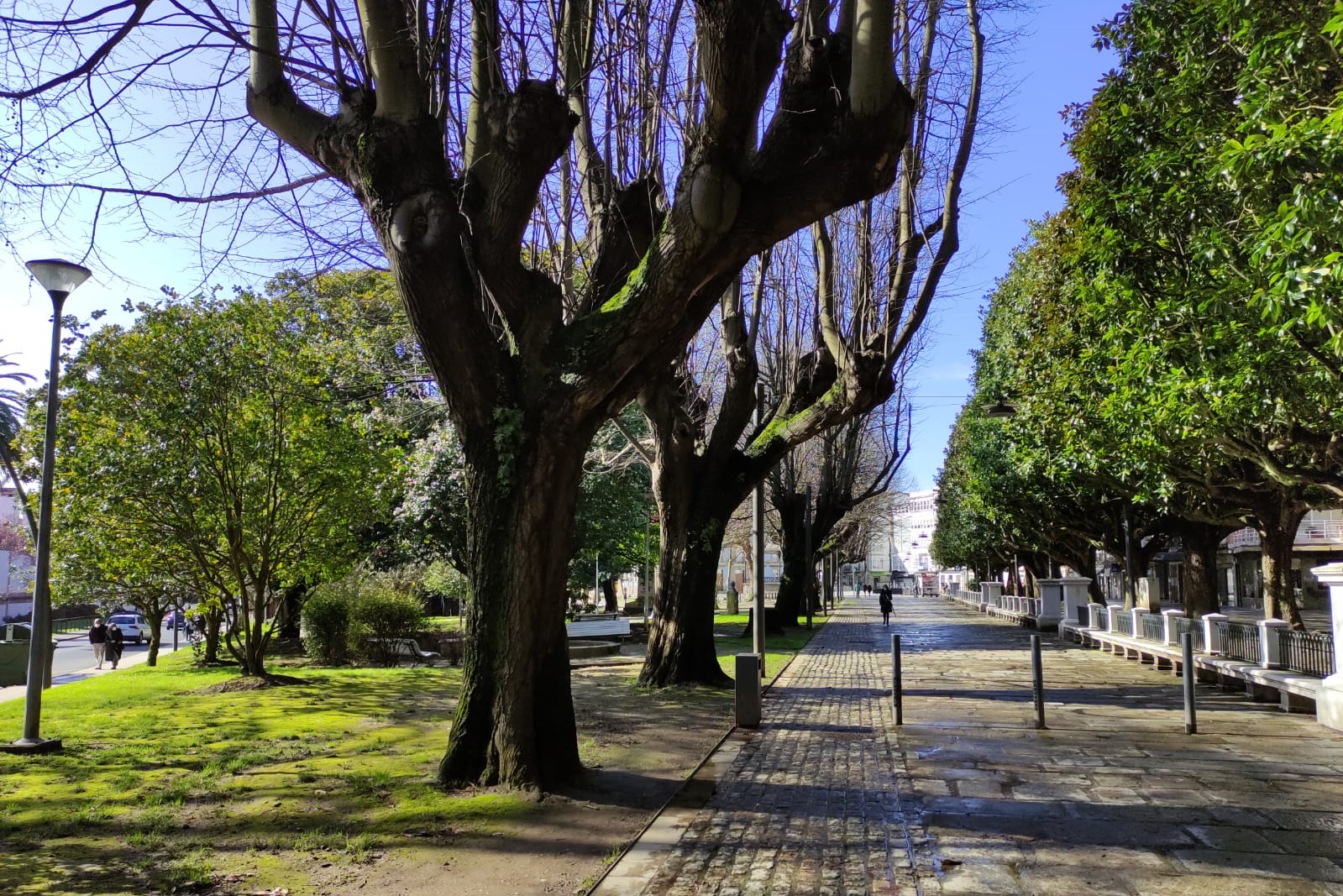 Paseo en Ferrol | CONCELLO DE FERROL