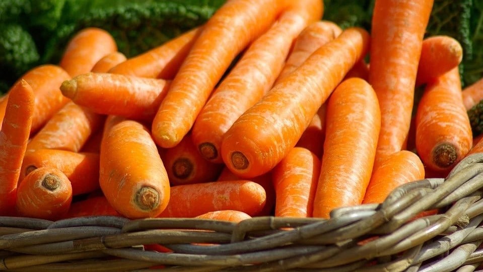 Desde el domingo 21 de noviembre, en el mercado quincenal podrán colocarse la totalidad de los puestos