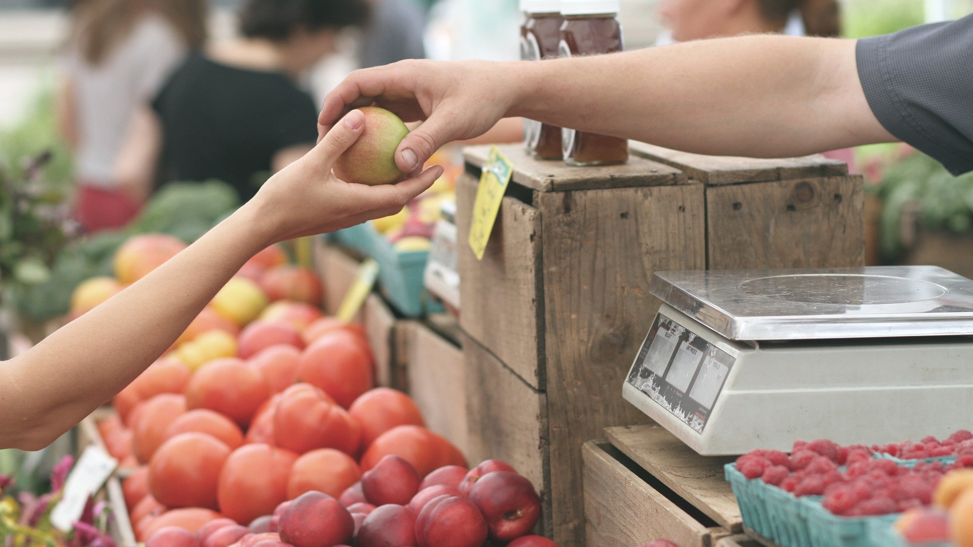 Imagen de archivo de una persona comprando en una frutería