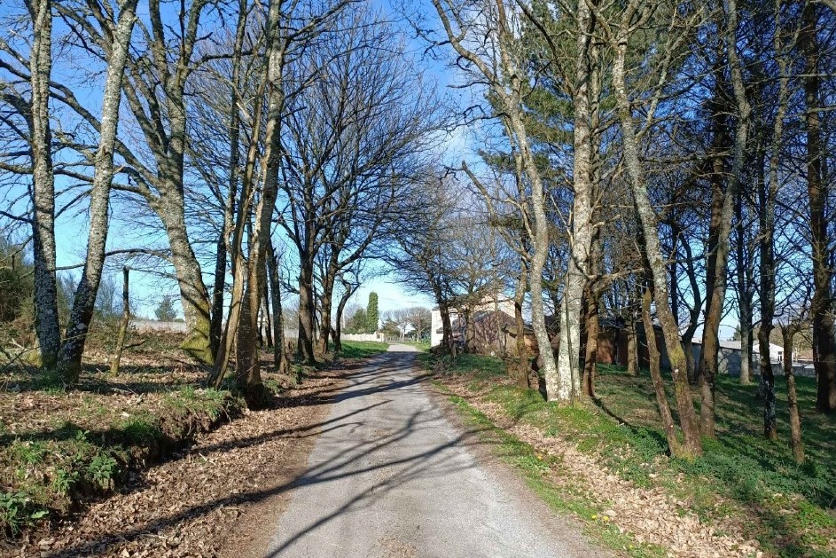 Vilalba renovará una docena de vías en distintas parroquias | CONCELLO DE VILALBA