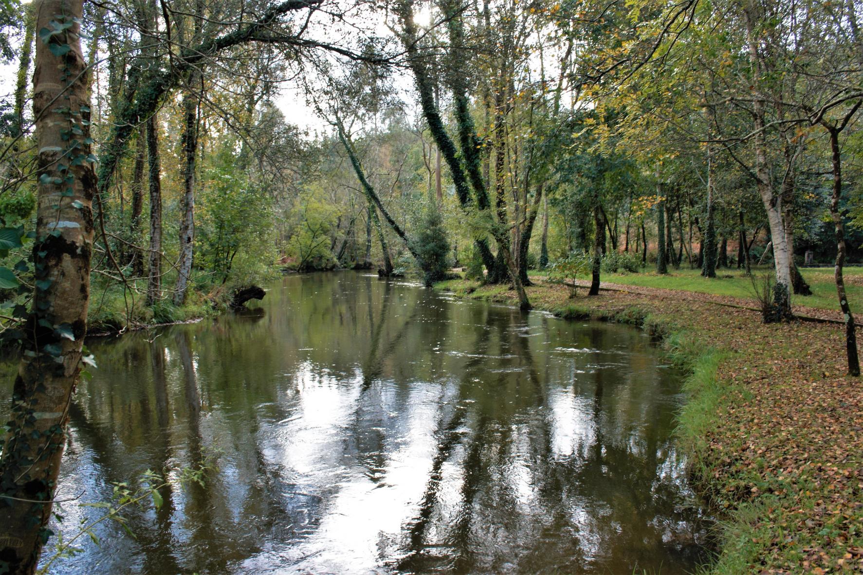 Río Xubia a su paso por San Sadurniño