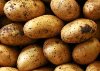 Imagen de archivo de patatas