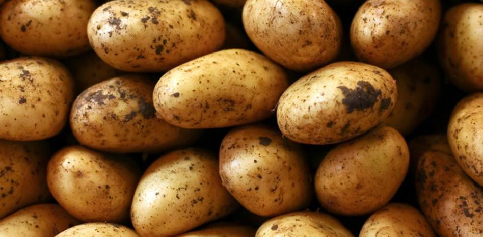 Imagen de archivo de patatas