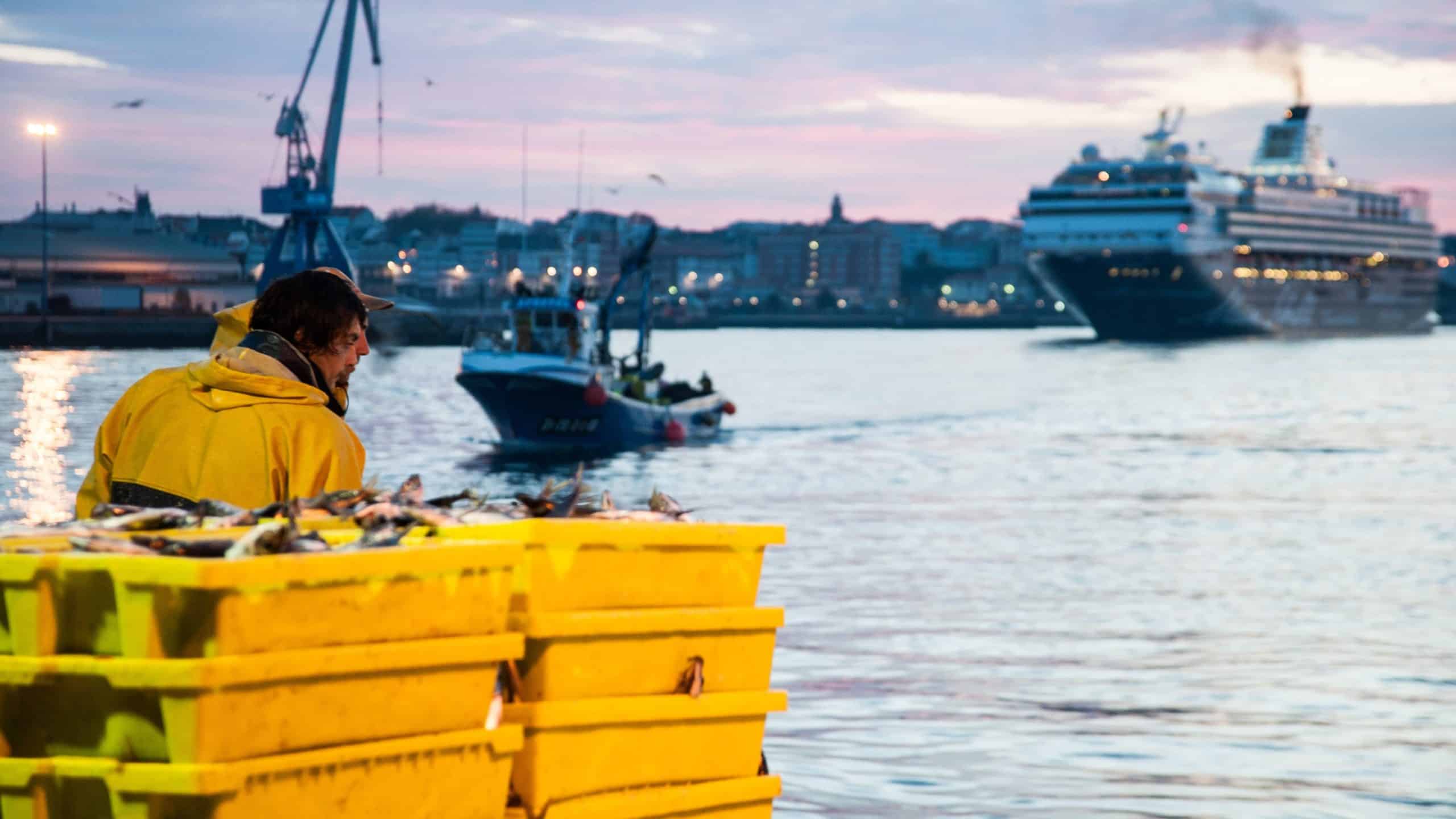 Descarga de pescado en el puerto de A Coruña | AUTORIDAD PORTUARIA DE A CORUÑA