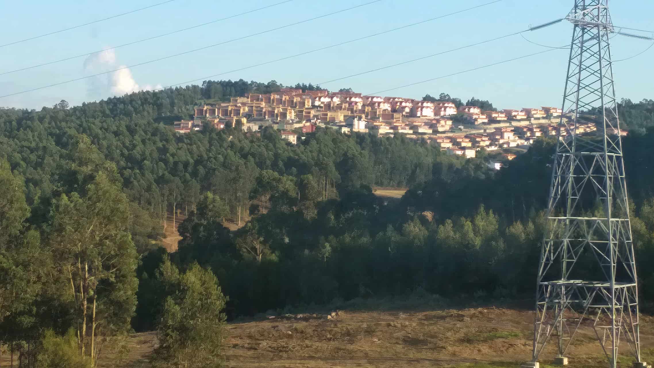 Imagen del bosque situado junto a la urbanización Breogán, en A Coruña