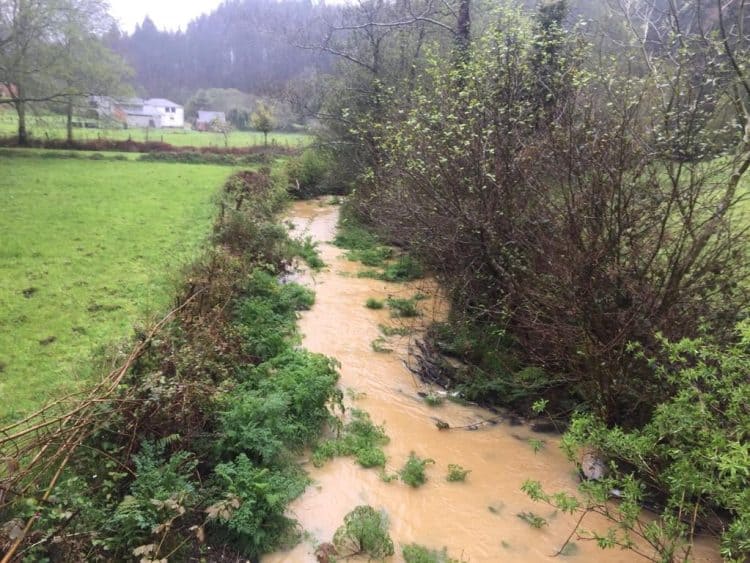 Estado actual del río Xubia | BNG FERROLTERRA