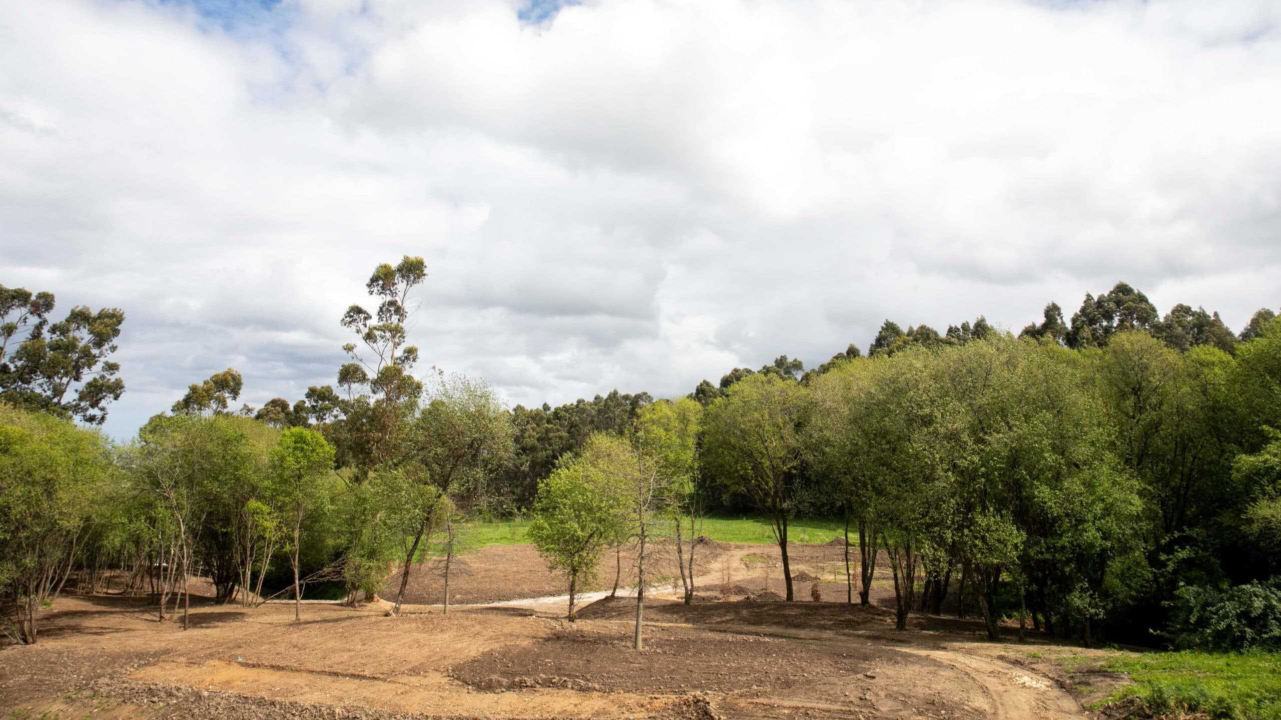 Bosque de Breogán | CONCELLO DA CORUÑA