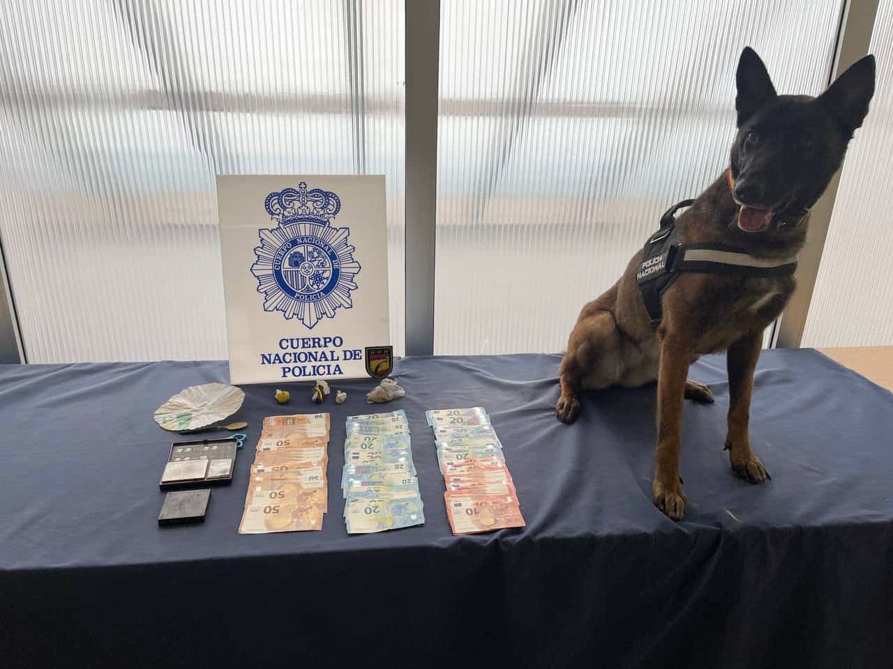 En el registro de los domicilios intervino la Unidad de Guías Caninos