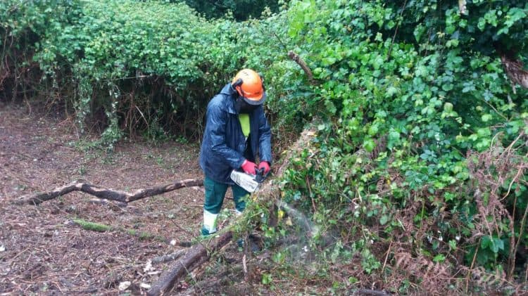 La brigada Aprol trabaja en Ames | CONCELLO DE AMES