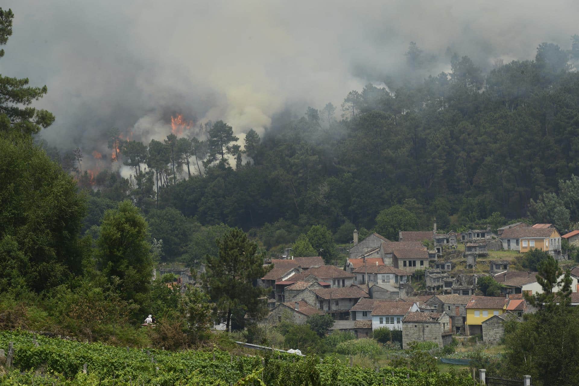 Foto de archivo de un incendio registrado en Melón -Ourense- | EP