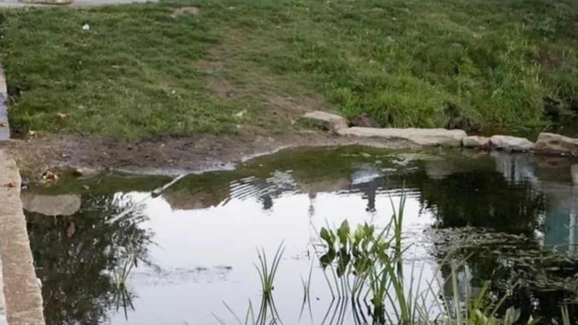 El tramo afectado por el vertido en el Río Carboeiro | CEDIDA