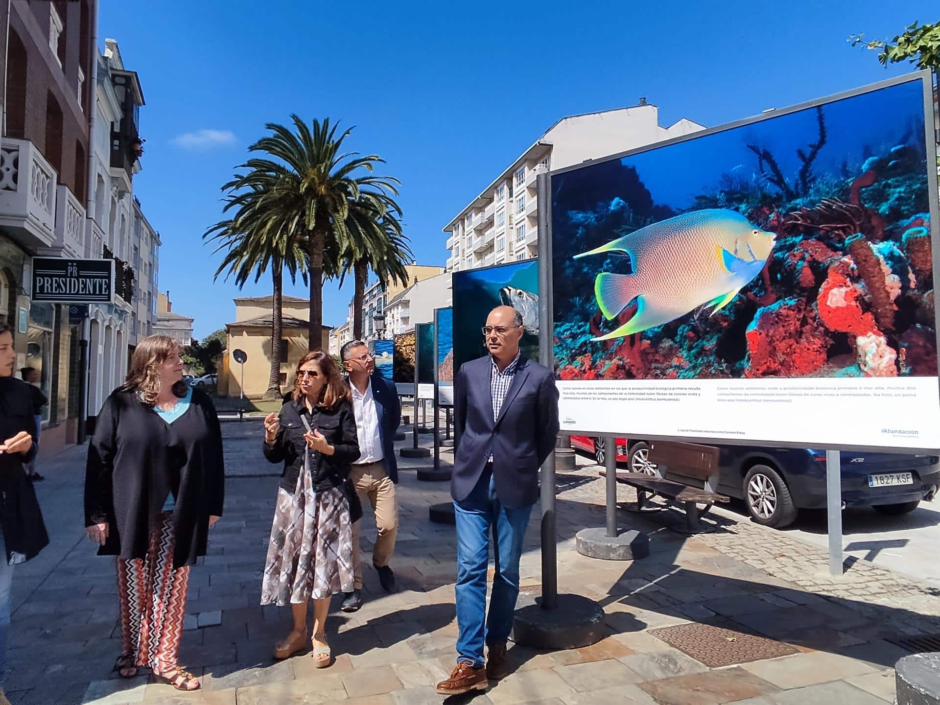 Exposición 'Os nosos océanos' en Ribadeo (Lugo). - AFUNDACIÓN