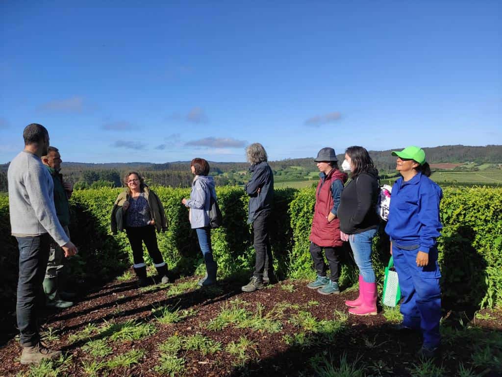 • El alumnado alterna las clases teóricas con visitas y el trabajo en la huerta situada en Miñano, propiedad del Concello