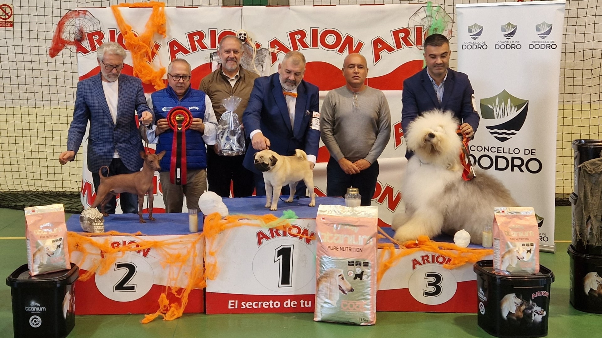 El 3º Concurso Canino Concello de Dodro | CONCELLO DE DODRO