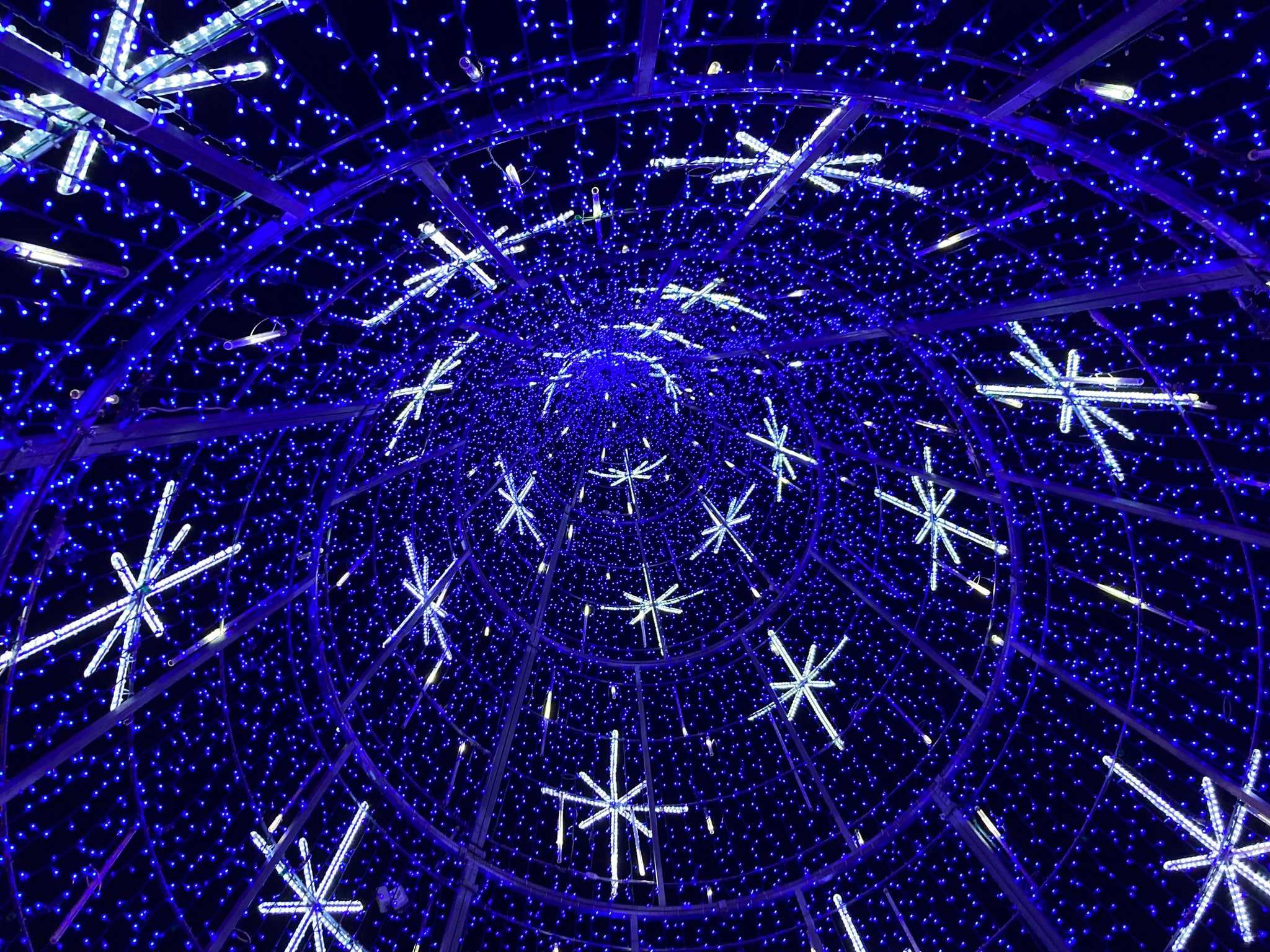 263947333_4592038674225585_8367422272629466245_n