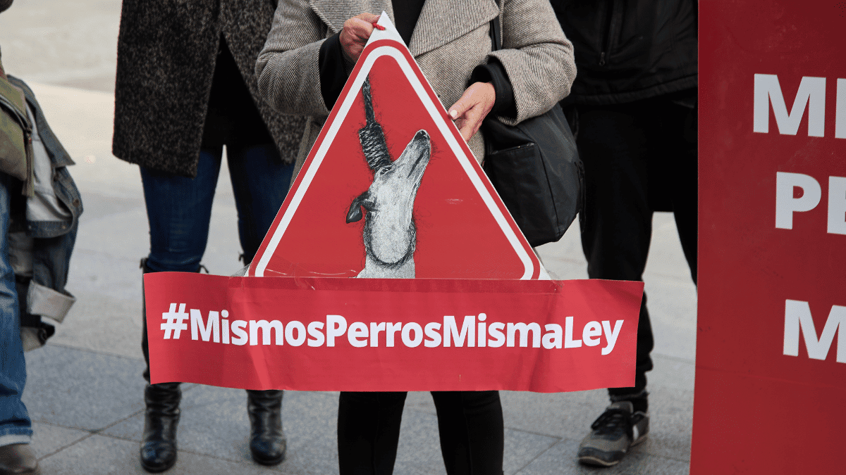 Manifestación contra la exclusión de los perros de caza en la nueva ley