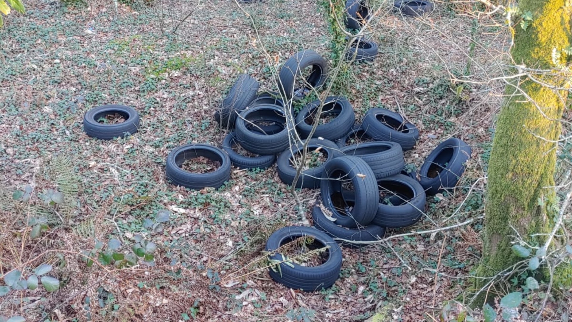 Neumáticos abandonados en Vimianzo | CONCELLO DE VIMIANZO