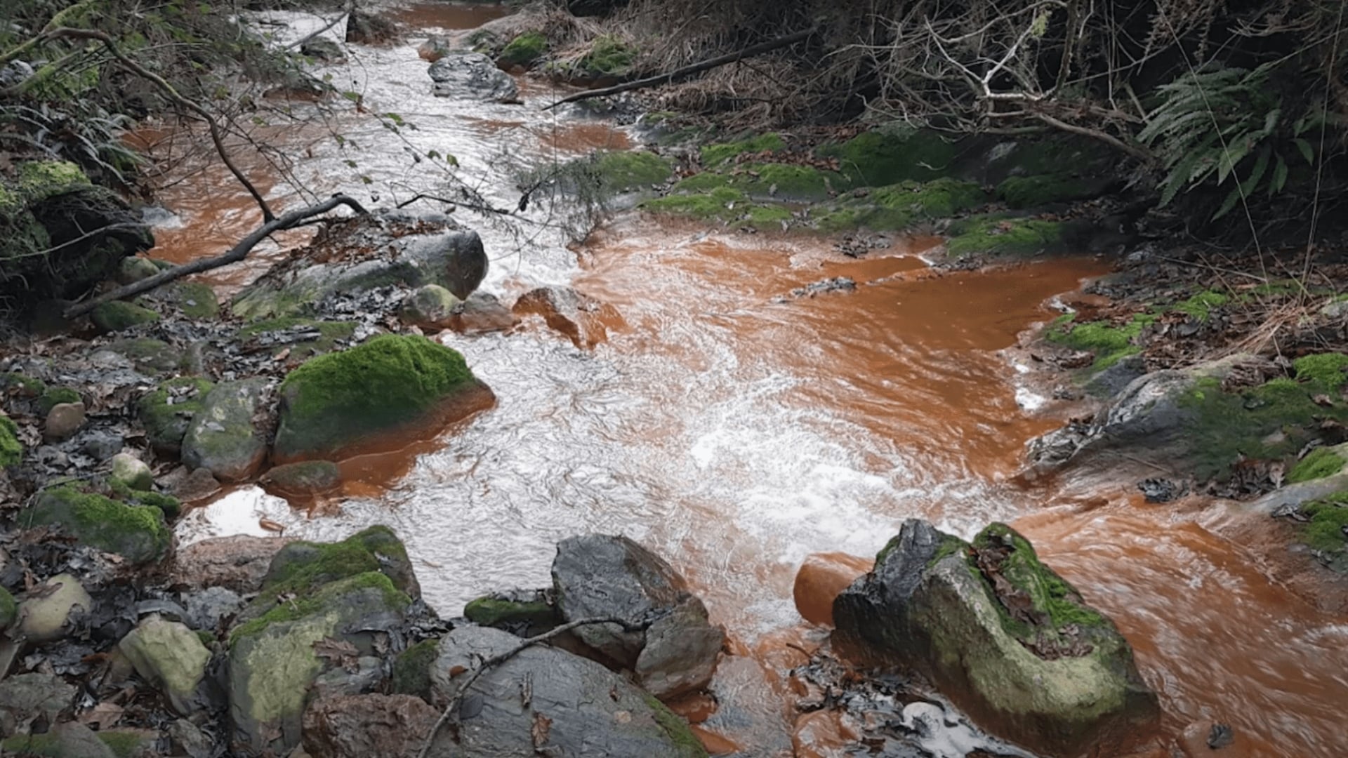 Imagen de archivo de un río contaminado por un vertido de San Finx | ECOLOXISTAS EN ACCIÓN