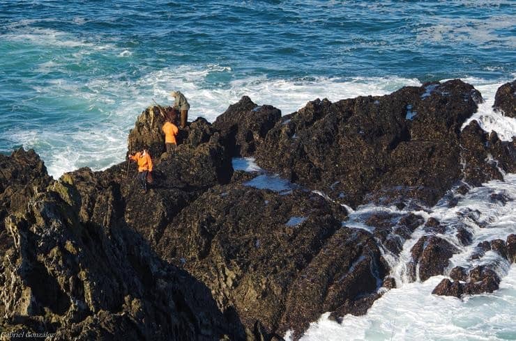 Percebeiros | GABRIEL GONZÁLEZ - WIKIMEDIA.