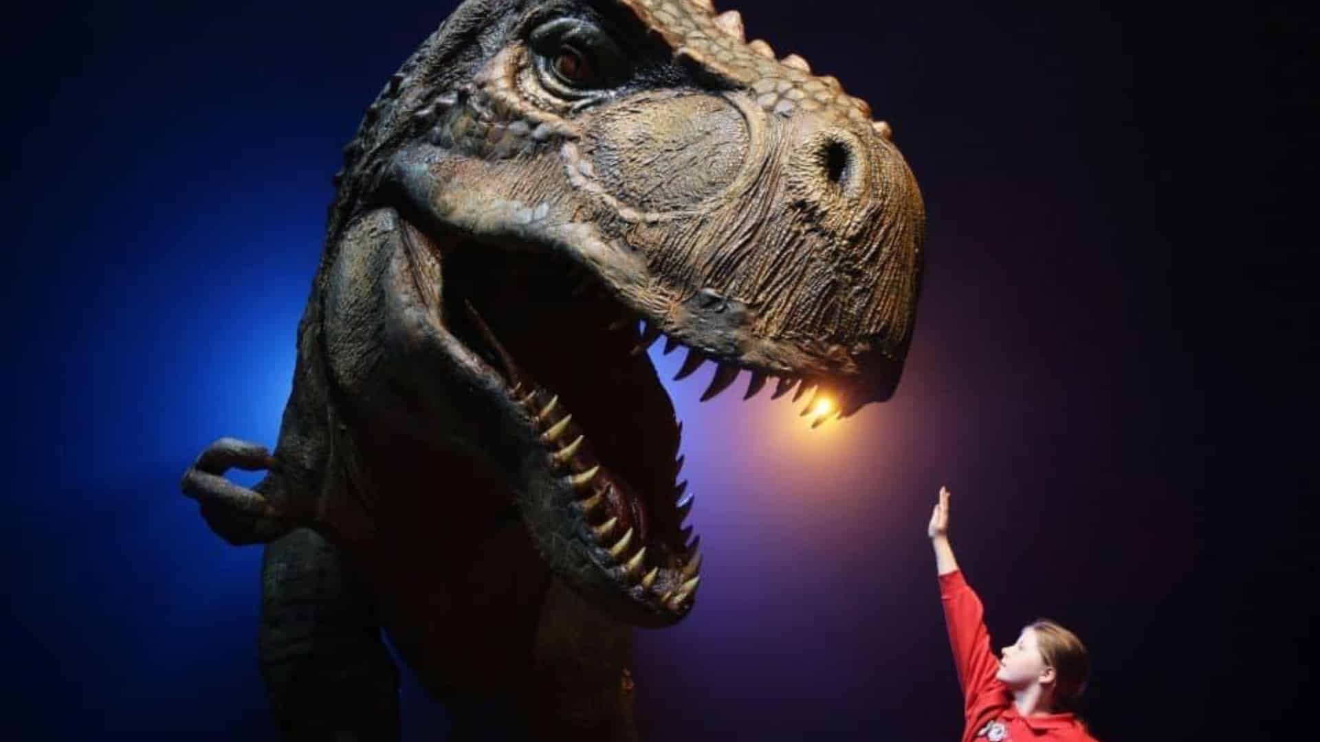 Imagen promocional de Dinos XXL | CEDIDA