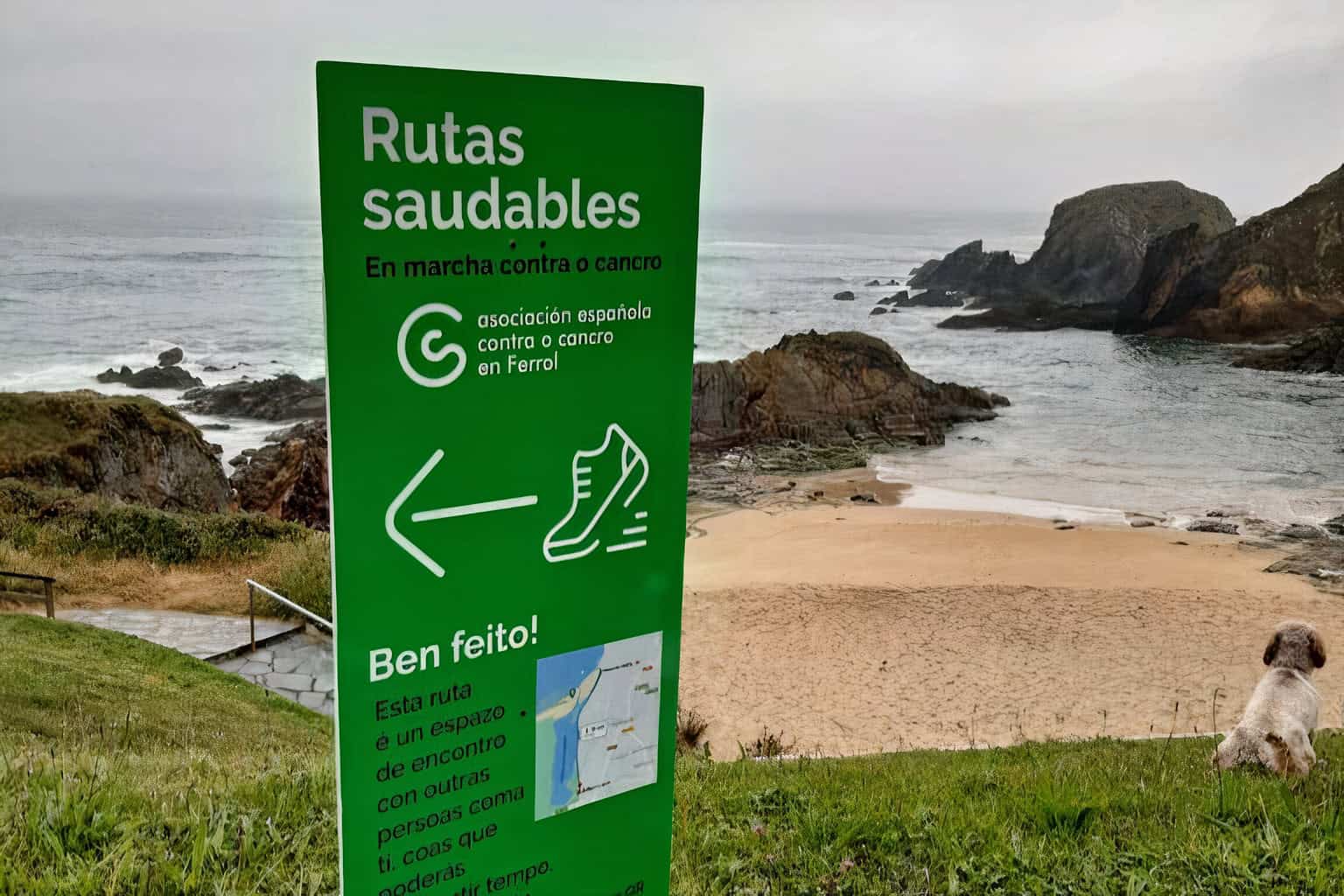 A través de balizas respetuosas con el entorno, se proporciona información a los ciudadanos mediante códigos QR, permitiendo que cualquier persona se una a la iniciativa fuera de los itinerarios guiados