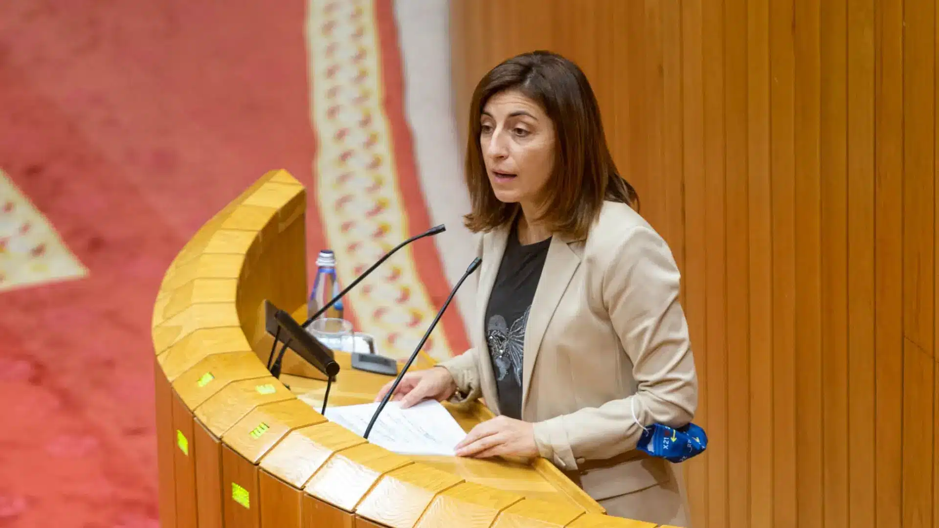 La vicepresidenta segunda y conselleira de Medio Ambiente, Ángeles Vázquez