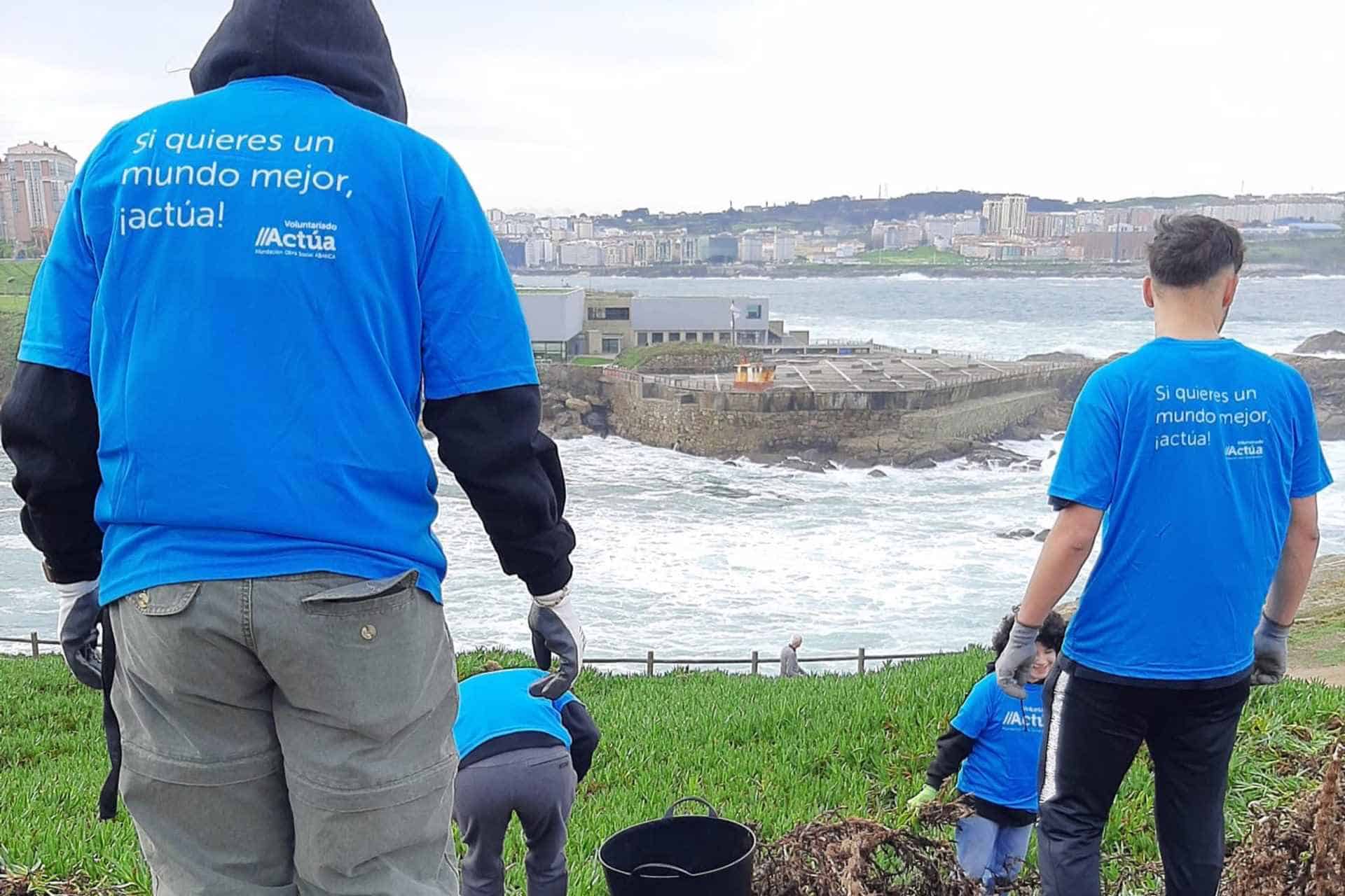 Labores de retirada de expecies invasoras en el entorno de la Torre de Hércules. - AFUNDACIÓN