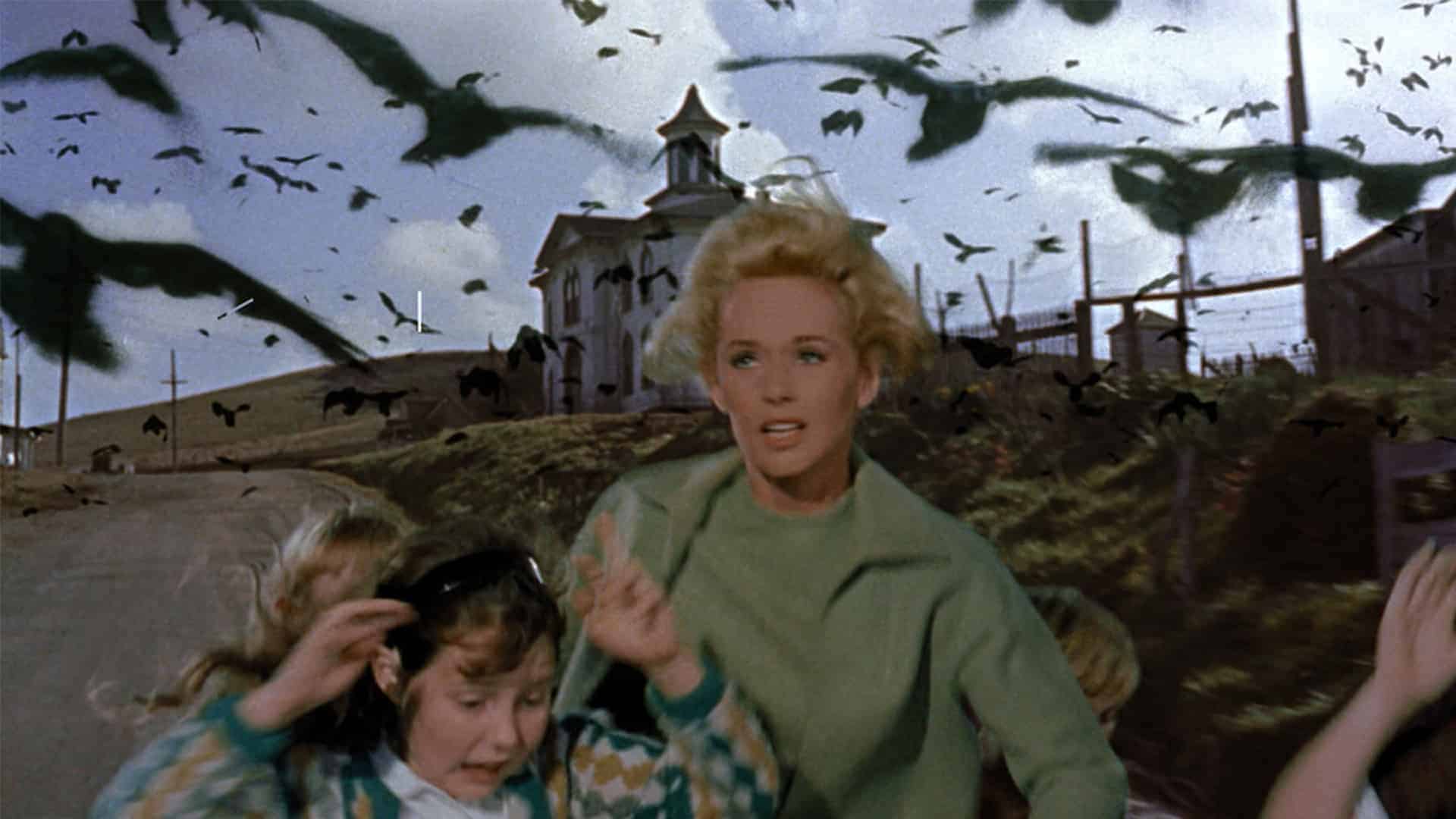 Fotograma de "Los pájaros", de Alfred Hitchcock | CEDIDA