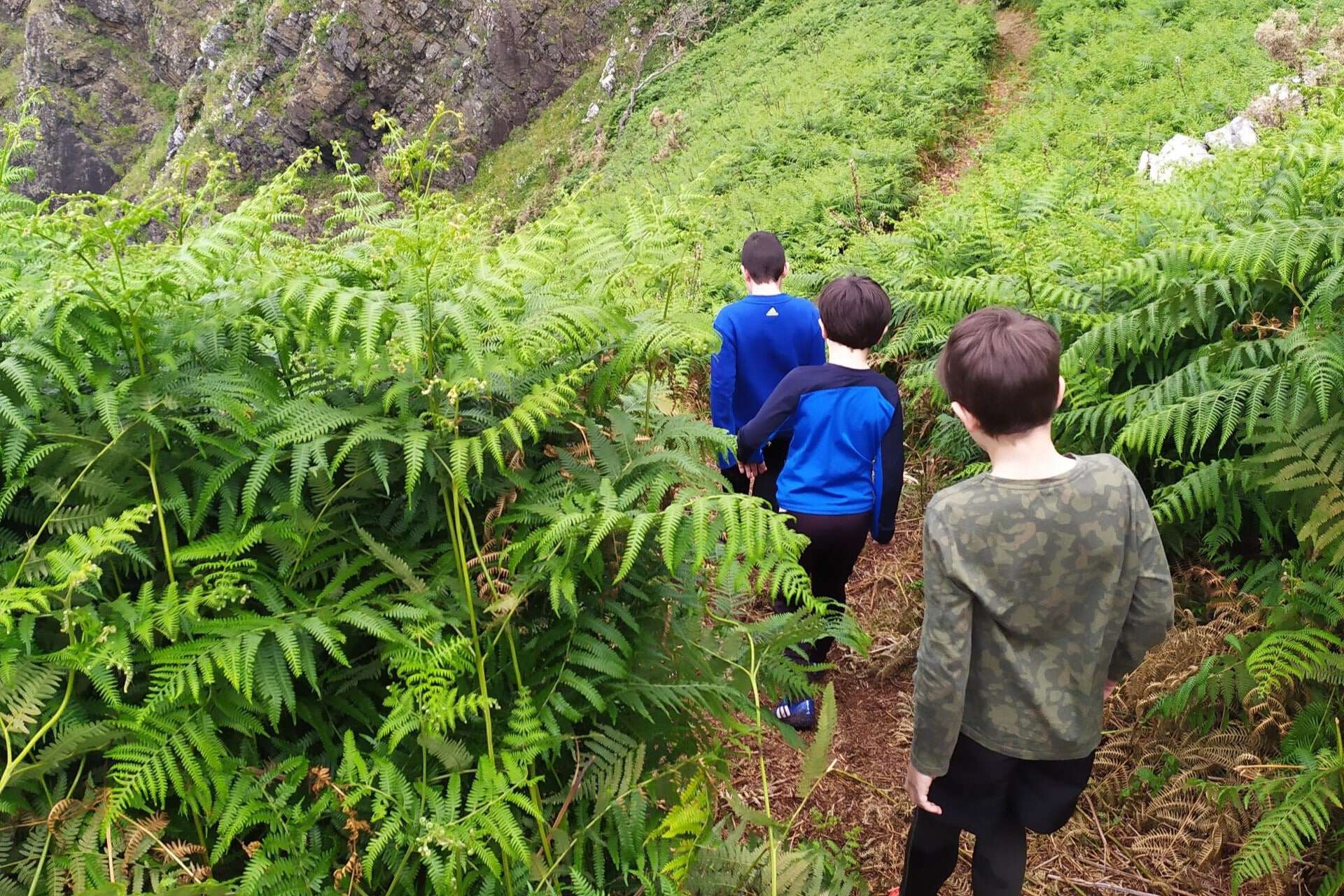 Escolares haciendo senderismo por la serra da Capelada | CONCELLO DE AS PONTES
