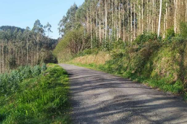 Camino que va desde Meizoso a Biduido en la parroquia de Régoa, Cedeira | CONCELLO DE CEDEIRA