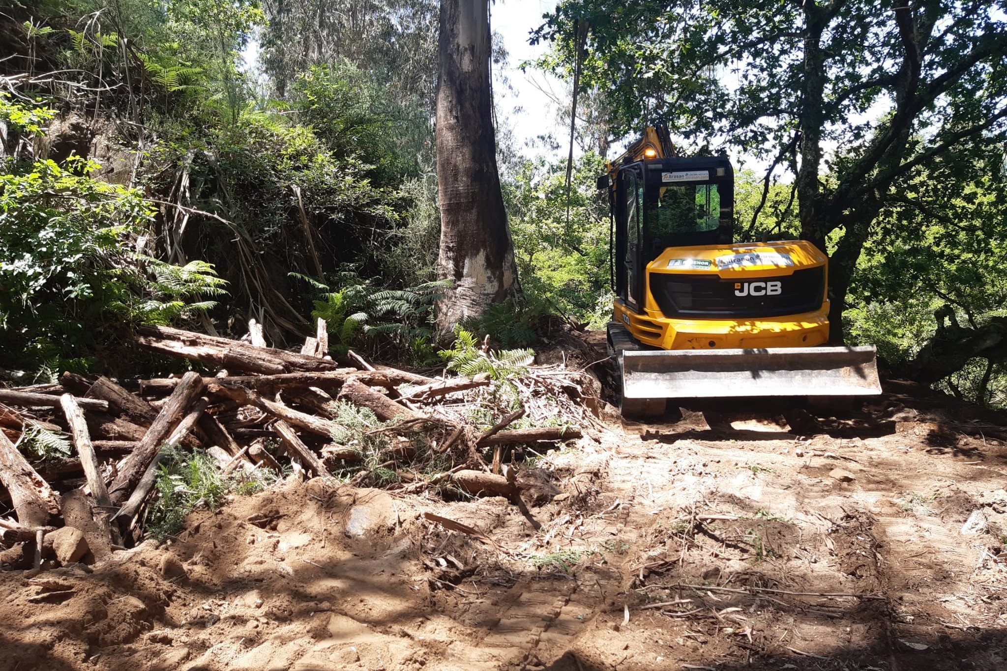 Árboles talados en el Bosque do Banquere de Conxo | ASOCIACIÓN DE VECIÑOS ABERTO