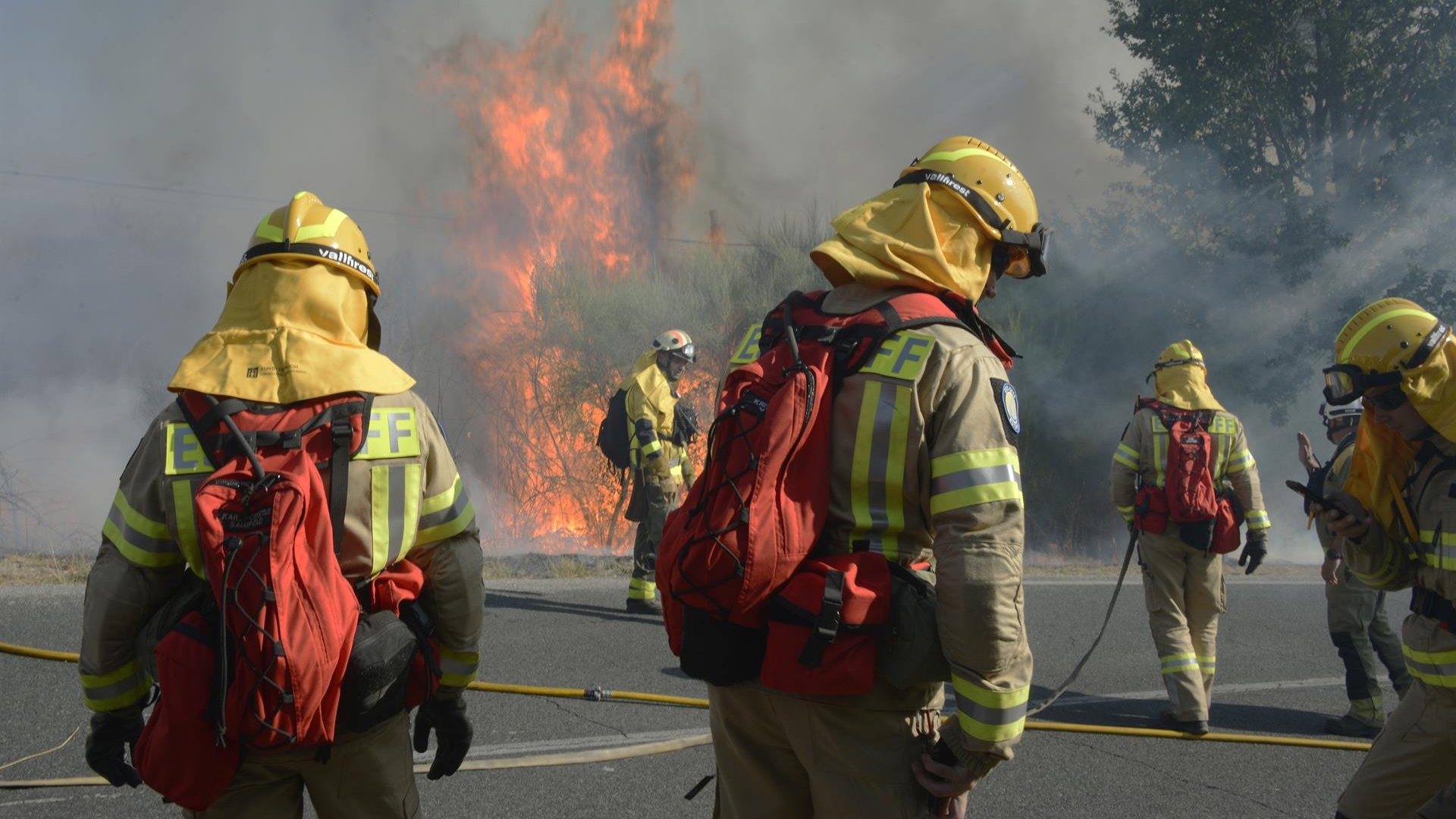 Un grupo de bomberos trabajando en la extinción de un incendio forestal | EP