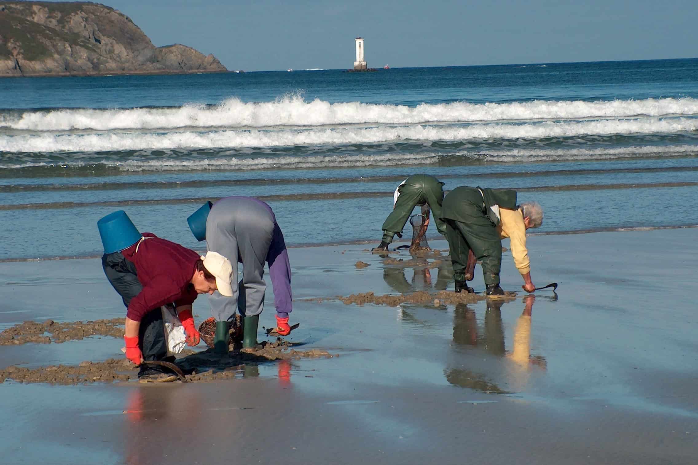 Matilde, Tona y dos maricadoras más en la playa de Vilarrube, Cedeira | COFRADÍA DE CEDEIRA