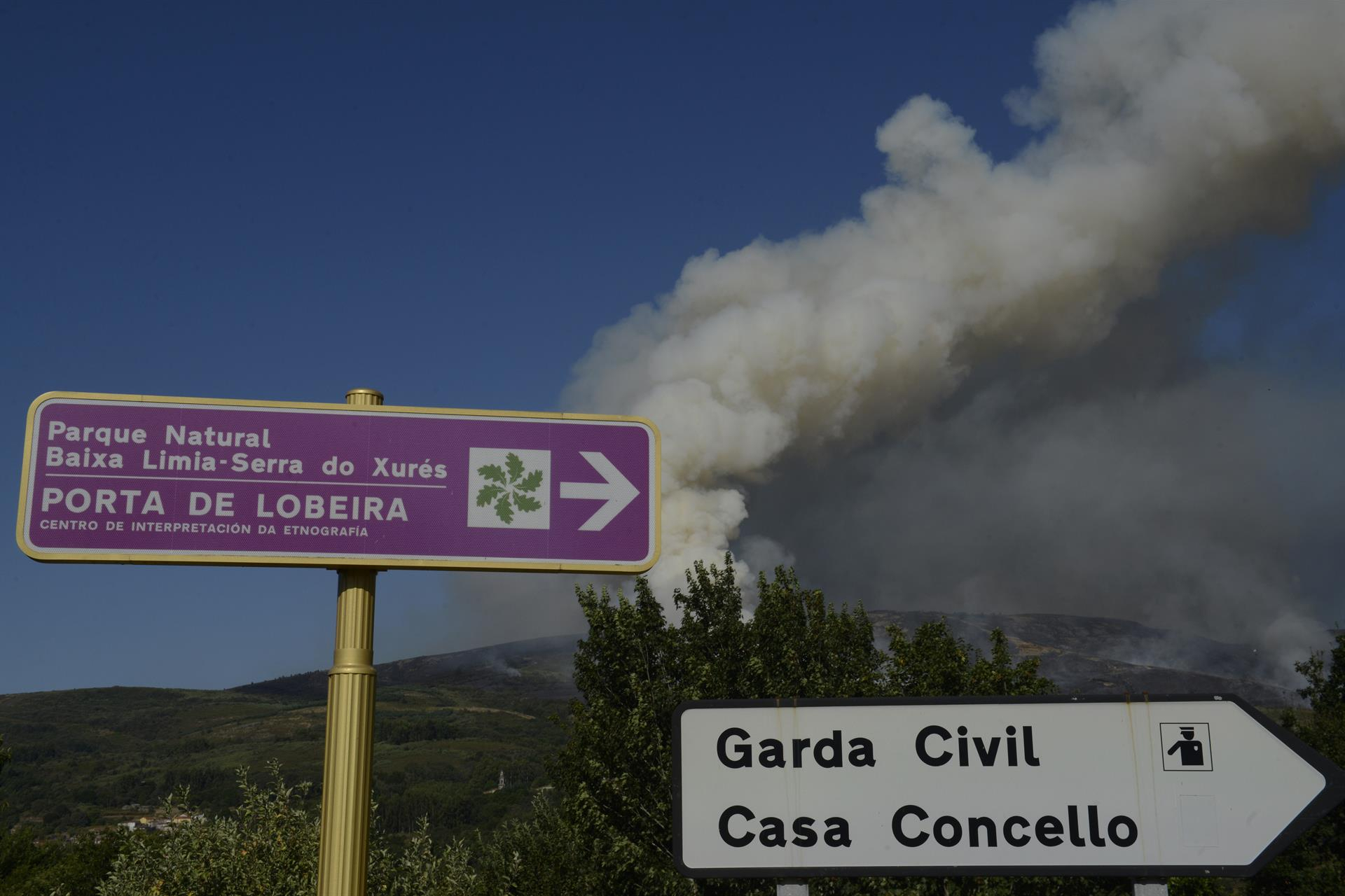 Imagen de archivo de un incendio forestal en el Parque Natural da Baixa Limia-Serra do Xurés | EP