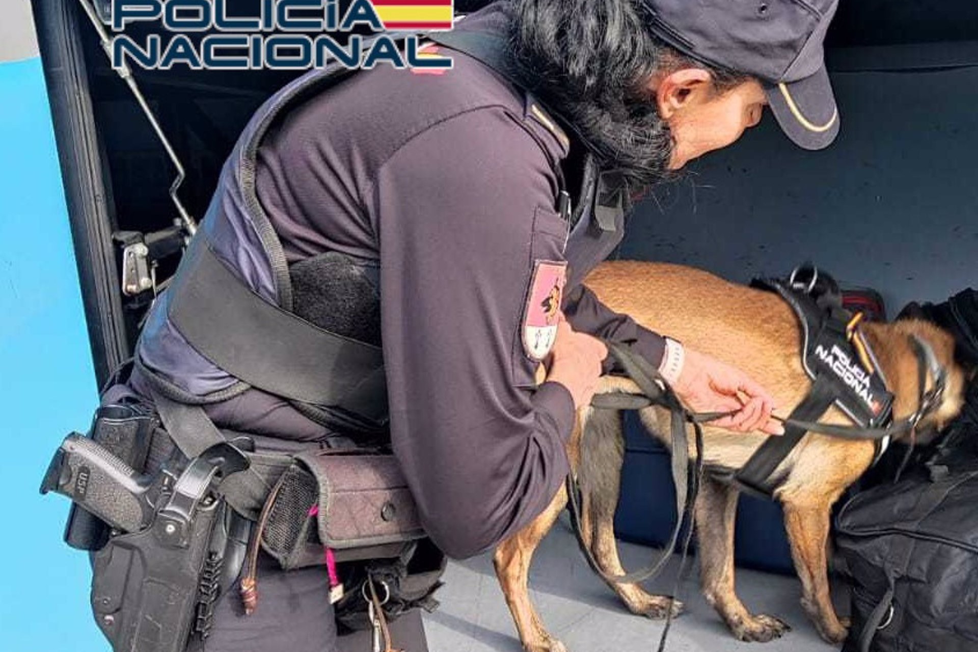 Perro policía vigila el arcón de un autobús | POLICÍA NACIONAL