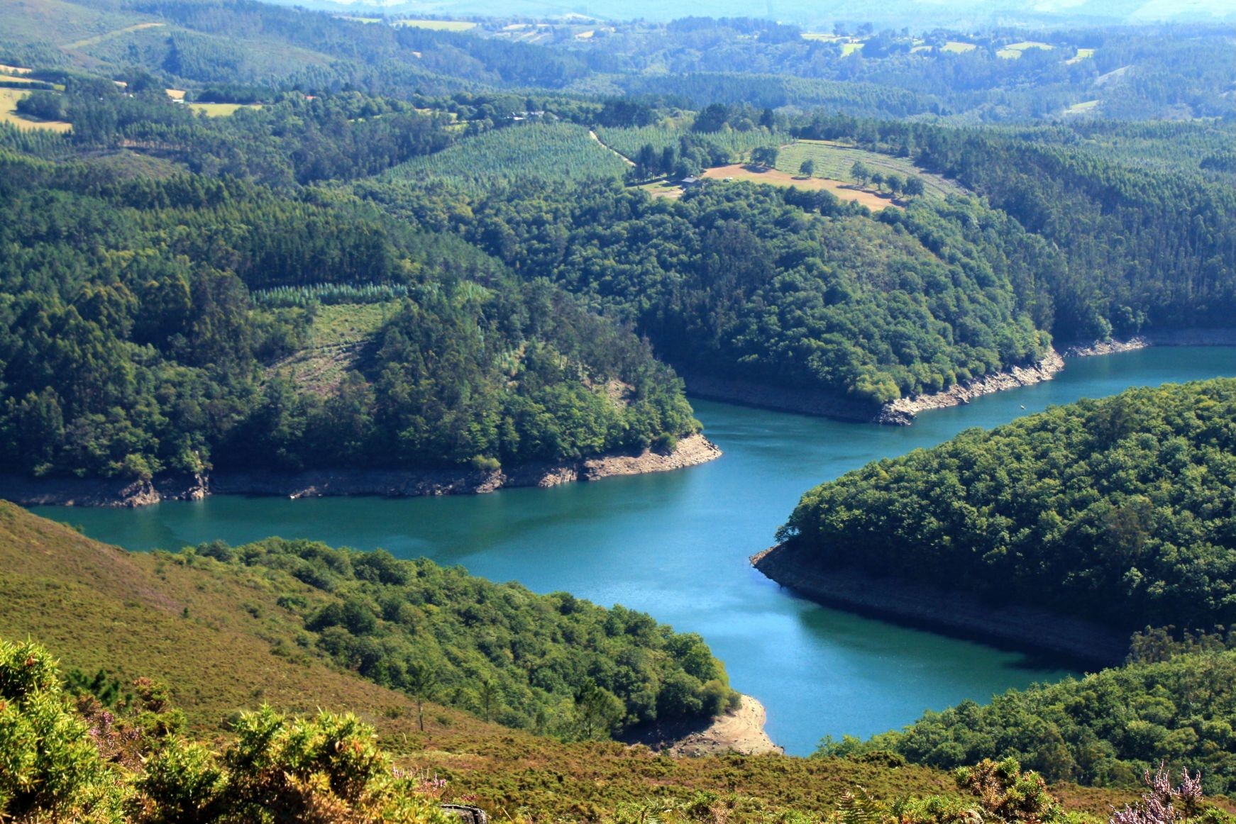 Concello de Monfero