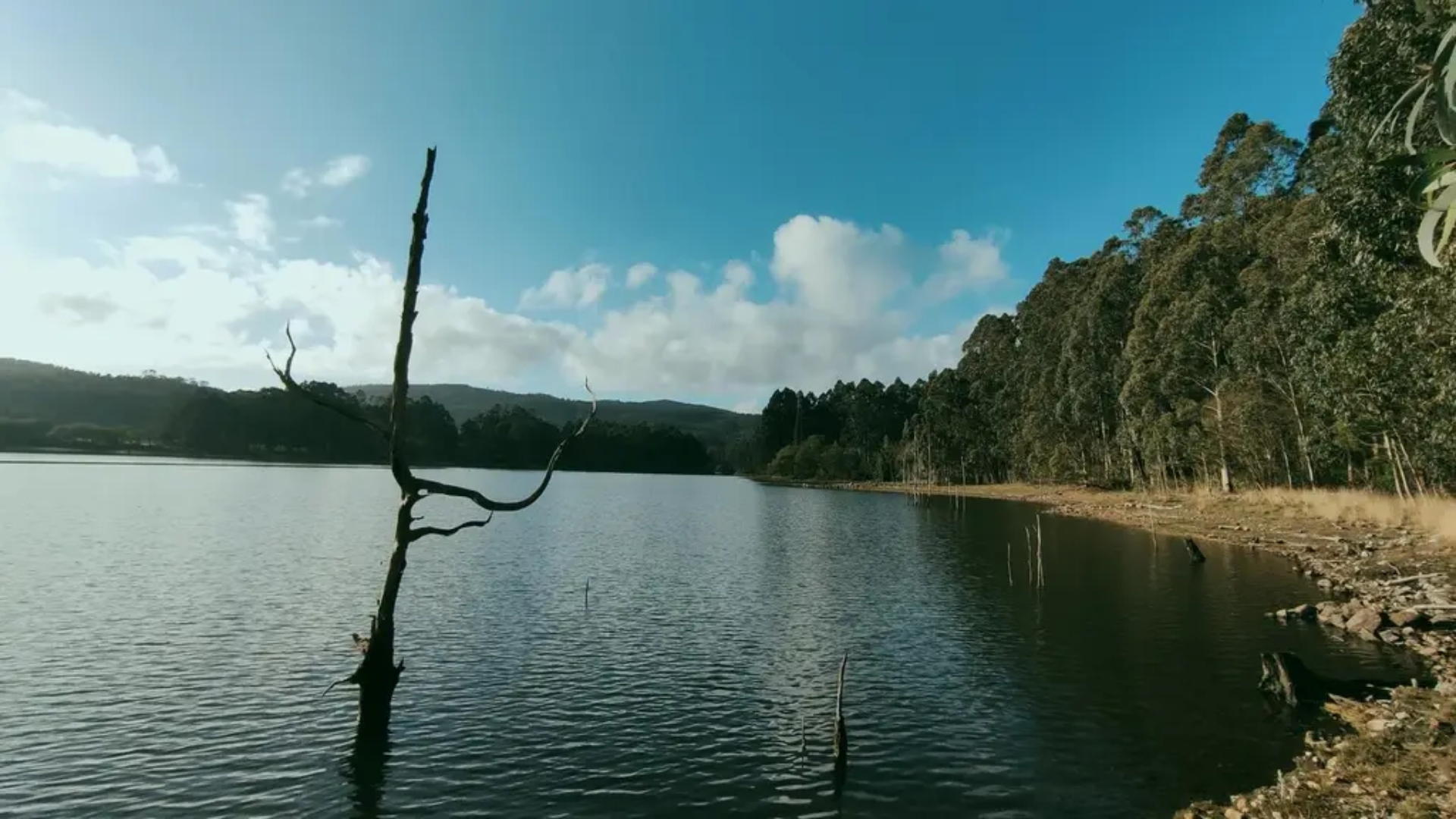 Embalse Río Covo