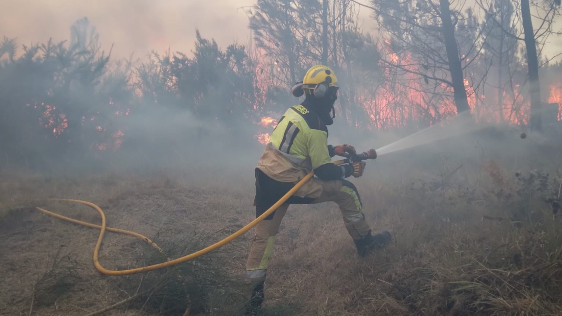 Un bombero del Consorcio Provincial Contra Incendios de A Coruña colaborando en la extinción de un incendio forestal | CONSORCIO PROVINCIAL CONTRA INCENDIOS DE A CORUÑA