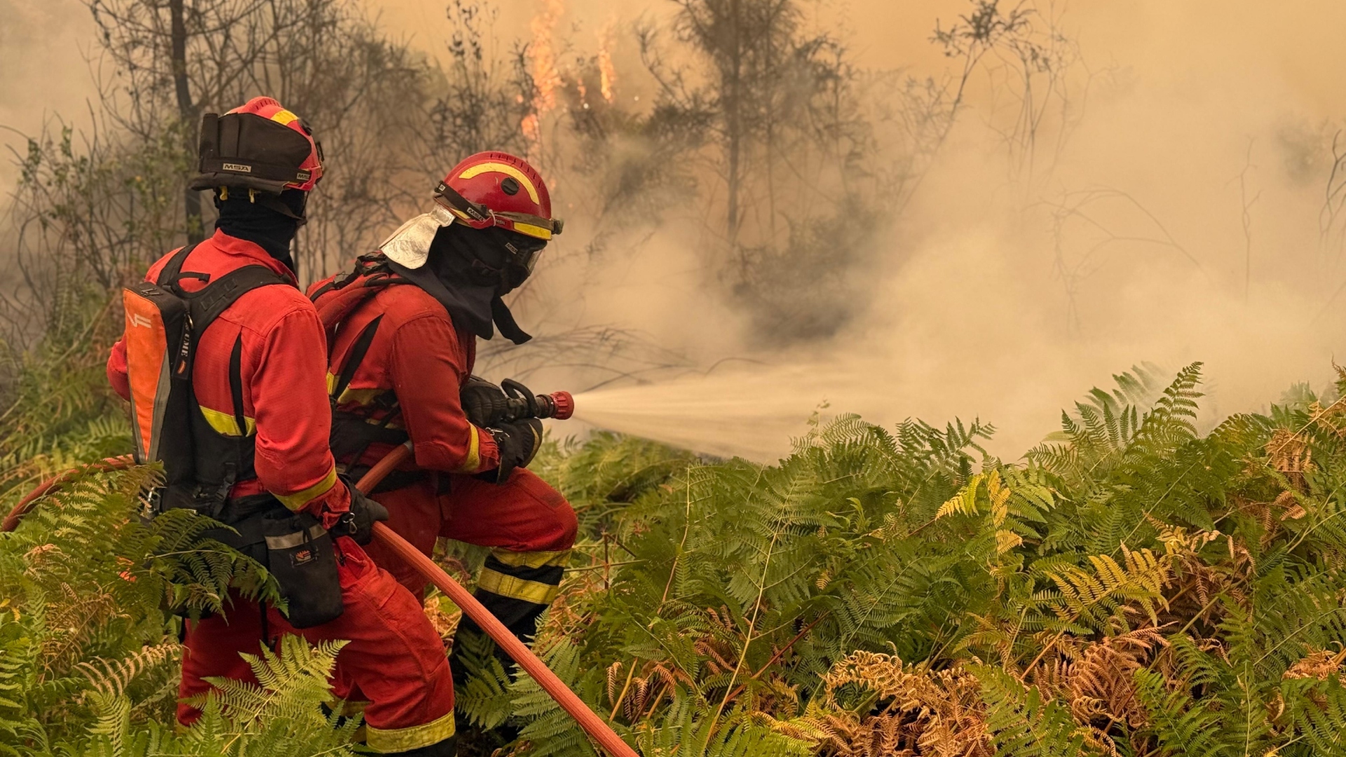 Bomberos forestales UME incendios Galicia