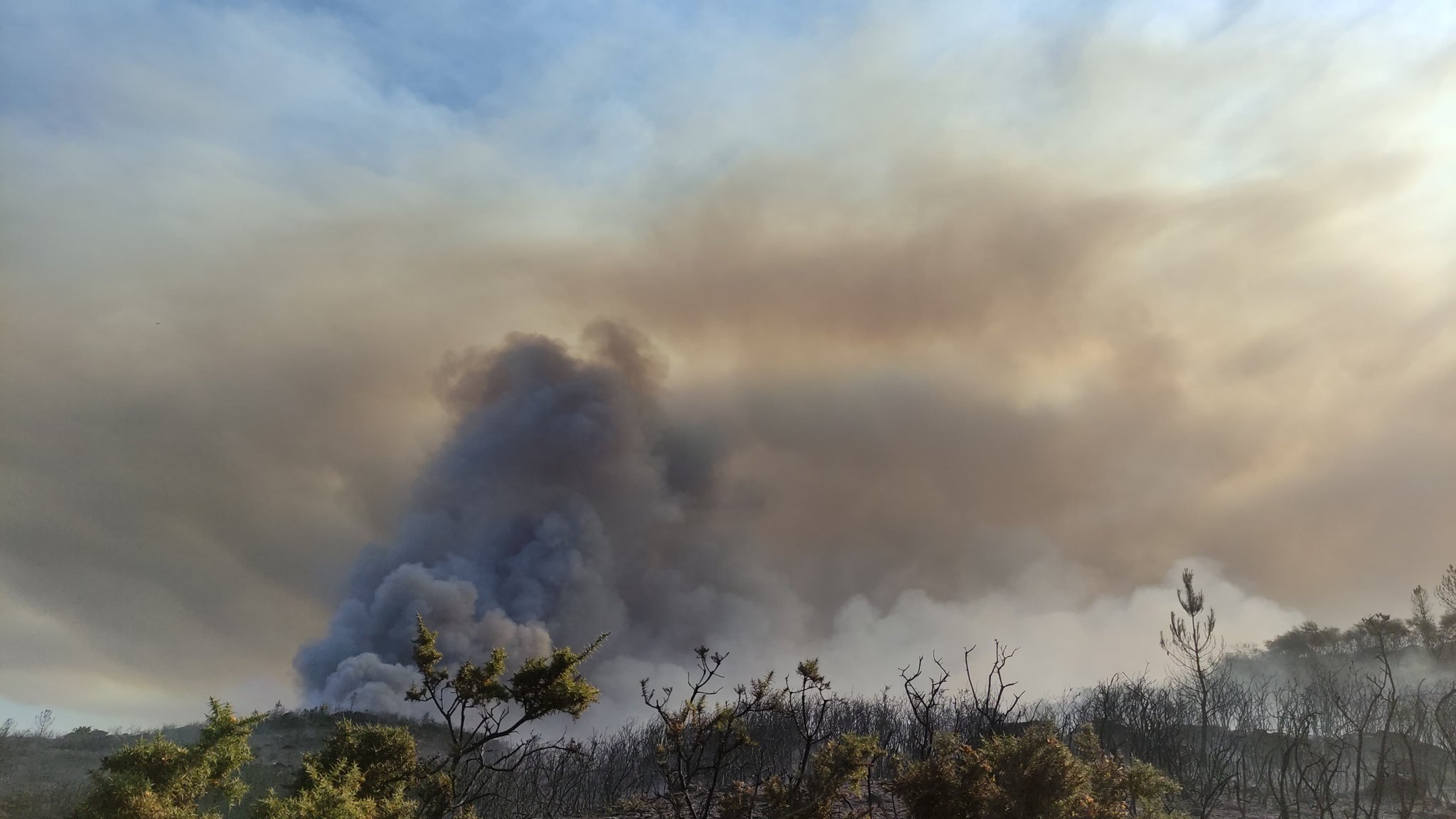 Incendio en A Cañiza | Brif Laza