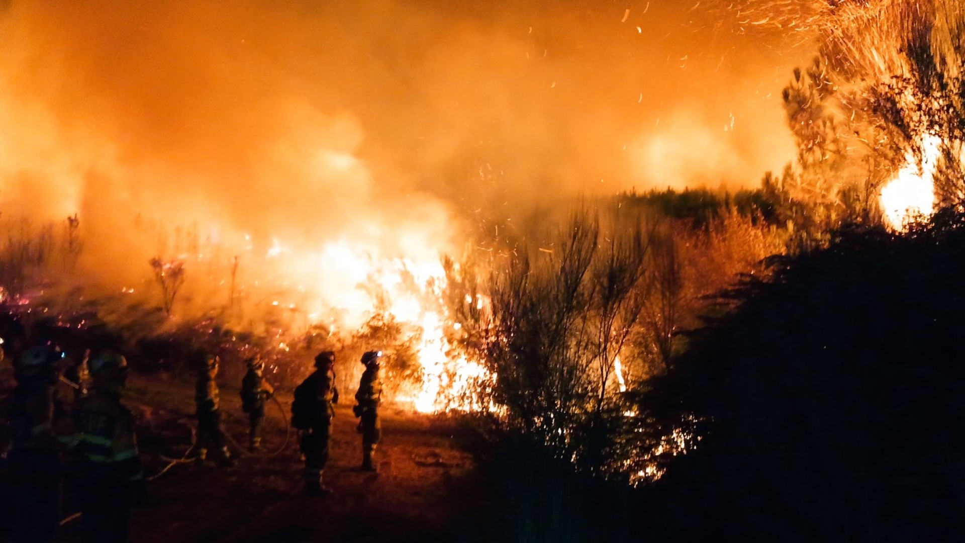 Incendios Galicia A Granxa Oímbra